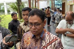 ESDM perjuangkan panel surya produksi dalam negeri tak kena tarif AS