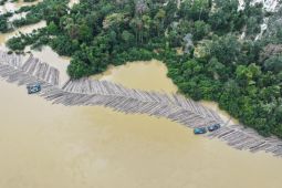 Kementerian Kehutanan periksa legalitas 1.085 batang kayu bulat di Sungai Kapuas