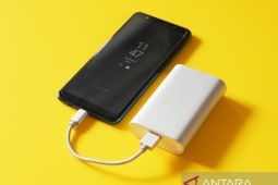 Jepang batasi power bank di pesawat maksimal dua per orang