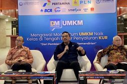 Menteri Maman: Permasalahan UMKM bukan pembiayaan, tetapi pasar