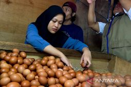 Bapanas tegaskan terus jaga kewajaran harga pangan selama Ramadhan