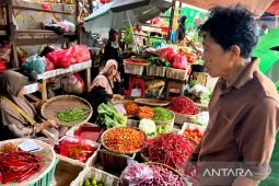 Harga pangan Sabtu ini, bawang merah Rp44.750/kg dan cabai rawit Rp74.650/kg