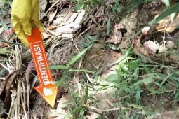 Polisi Karawang selidiki temuan mayat wanita  tanpa identitas di kawasan KJIE