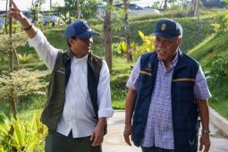 Hutan IKN seluas 1.805 hektare hasil rehabilitasi sejak 2024 sudah didatangi satwa