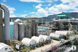 Operasional terdampak pencabutan izin, TPL lakukan penyesuaian karyawan