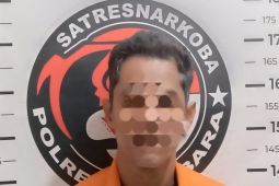 302 Gram Sabu "Parkir" di Talawi, Satresnarkoba Polres Batu Bara langsung angkut pengedarnya