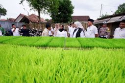 Bupati Banyuwangi ajak anak muda dukung swasembada pangan