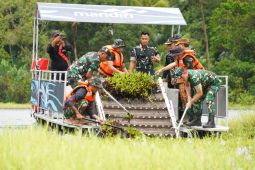 Kodam Udayana bersihkan eceng gondok di Danau Yeh Malet Karangasem