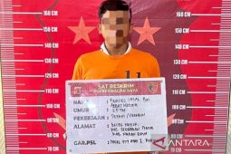 Polres Nagan Raya tahan centeng diduga curi kelapa sawit dari perusahaan