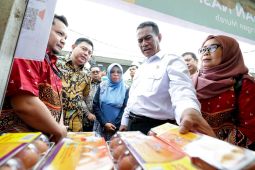 Mentan pastikan bahan pokok secara nasional surplus hadapi Lebaran