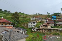Info Mudik 2026: Jalur Puncak II Cianjur Tak Layak Dilalui, Disarankan Lewat Jonggol