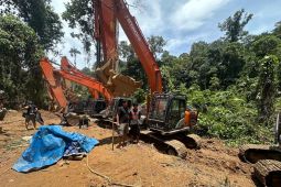 Polda Sumut ungkap enam lubang tambang emas ilegal di Mandailing Natal