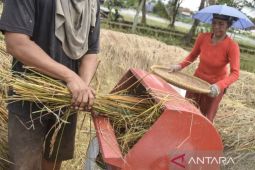 Waspada! Inflasi Jabar Diprediksi Meledak 1 Persen Hingga Lebaran, Harga Beras Jadi Pemicu Utama