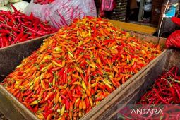 Harga pangan Rabu ini, cabai rawit Rp74.750 per kg dan bawang merah Rp44.050 per kg