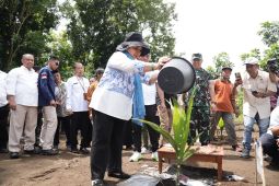 Ketua Komisi IV DPR RI lakukan penanaman kelapa genjah di Sleman