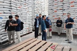 BRIN-Bulog jaga stabilitas pangan lewat pemanfaatan teknologi iradiasi