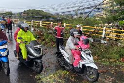 Update Jalur Soekarno-Hatta Bandung: Sempat Tertutup Pohon Tumbang Arah Cibiru, Kini Berangsur Normal