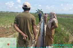 Pasaman Barat peroleh Rp6,14 miliar tangani dampak bencana pertanian