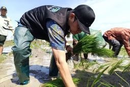 Pemkab Lamongan percepat tanam padi untuk capai target LTT 2026