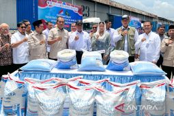 Komisi IV DPR pacu ekspor beras RI ke negara selain Arab Saudi