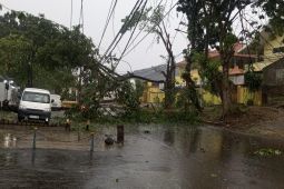 PLN bergerak cepat pulihkan listrik terdampak hujan dan angin kencang di pantura Jateng