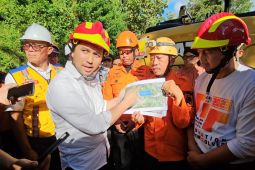 Wagub Jatim tinjau longsor jalur Trenggalek-Ponorogo