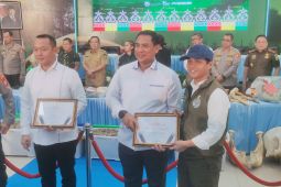 Pemerintah tengah siapkan inpres penyelamatan gajah Sumatra