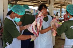 RPH Surabaya obral daging iga di Pasar Murah Ramadhan