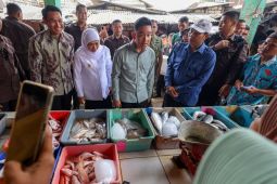 Wapres tinjau kebutuhan harga pokok di Tuban