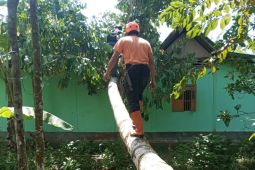 Update Dampak Angin Kencang Ciamis: BPBD Masih Evakuasi Pohon yang Timpa Rumah Warga