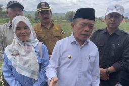 Pemprov Jambi terbitkan kebijakan pemberian THR PPPK paruh waktu