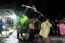 Puluhan rumah di Situbondo terendam banjir luapan air sungai