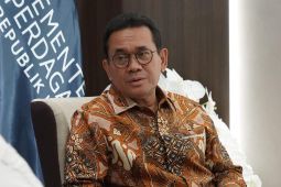 Indonesia ajukan penangguhan konsesi ke UE di WTO terkait sawit