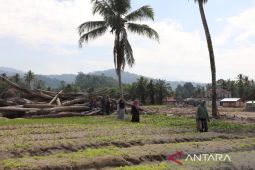 Akademisi bawa berbagai inovasi pertanian untuk pulihkan Tapanuli pascabencana