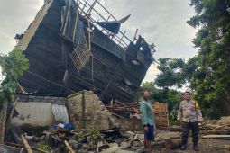 Angin kencang tumbangkan pohon, rumah, gudang, dan sekolah di Jember