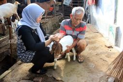 Kota Madiun terus gencarkan pemberian vaksin PMK