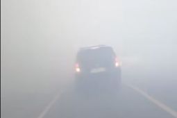 Tim gabungan padamkan karhutla 10 hektare di Anjungan