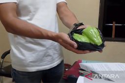 Labu siam untuk berbuka puasa ibu, rengut nyawa sang anak