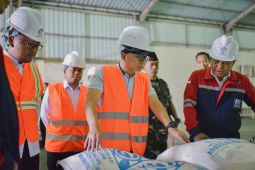 Menko Pangan dorong percepatan swasembada garam nasional 2027