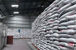 Bulog Kaltimtara jamin stok pangan aman hingga Lebaran 2026