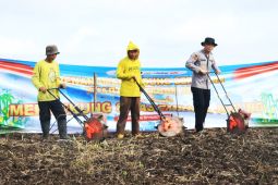 Polresta Banjarmasin tanam jagung seluas 11 hektare dukung ketahanan pangan