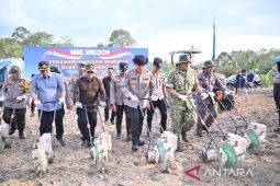 Polda Jambi gelar tanam jagung raya serentak kuartal I Tahun 2026