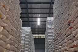 Bulog Maluku pastikan stok beras 13 ribu ton aman hingga lima bulan ke depan