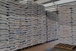 Bulog Jambi pastikan stok beras dan minyak goreng cukup selama 2026