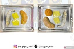 Viral MBG bandeng mentah di Bantul, BGN memastikan ikan presto matang