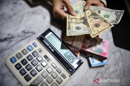 Ekonom nilai rupiah tembus Rp17.500 dipicu tekanan global dan domestik