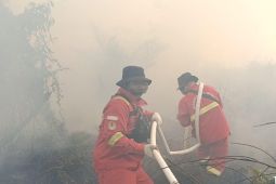 Kemenhut kerahkan Manggala Agni padamkan karhutla di habitat harimau sumatera