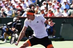 Zverev dan Fils bertemu di perempat final