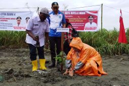 Pemkab Jayapura tanam 1.000 pohon di Kelurahan Dobonsolo