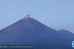 Semeru alami erupsi dengan tinggi letusan capai 600 meter di atas puncak